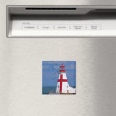 Aimant NA, Canada, Nouveau-Brunswick, île Campobello. 8 (In Situ (Lave-vaisselle))