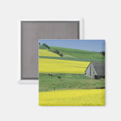Aimant NA, États-Unis, Idaho, près de Potlatch, Canola et (Recto/Verso)