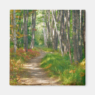 Aimant NA, États-Unis, Maine. Sentier Jessup à Acadia Na