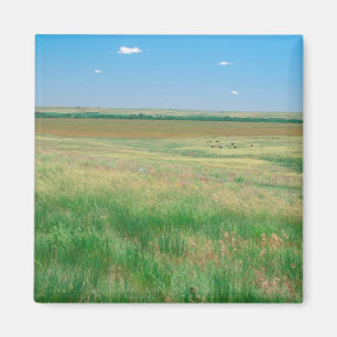 Aimant NA, États-Unis, NE. Prairies près d'Ogallala avec