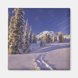 Aimant NA, États-Unis, Washington, Mt. Rainier NP, raquet