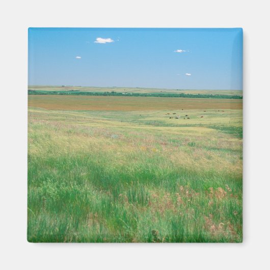 Aimant NA, USA, NE. Terrain de prairie près d'Ogallala av (Devant)