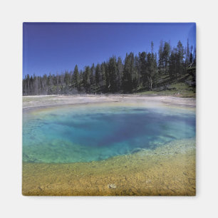 Aimant NA, USA, Wyoming, Yellowstone National Park.2