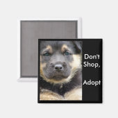 Aimant N'achetez pas Adoptez ! Faites attention aux magne (Recto/Verso)