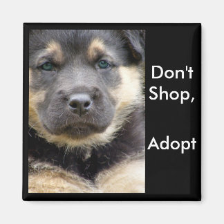 Aimant N'achetez pas Adoptez ! Faites attention aux magne