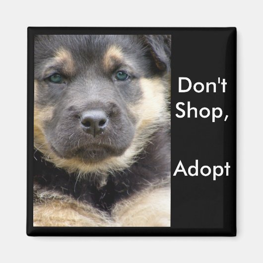 Aimant N'achetez pas Adoptez ! Faites attention aux magne (Devant)