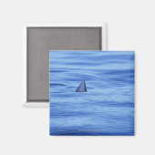Aimant Nage de requins dans l'eau de mer (Recto/Verso)