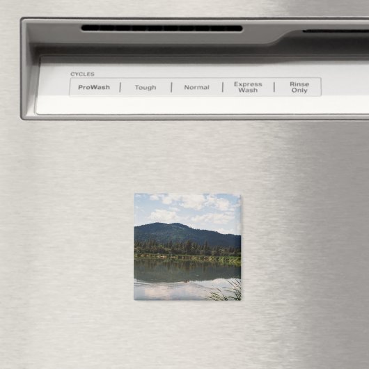 Aimant Nager seul..... (In Situ (Lave-vaisselle))