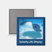 Aimant Nagez avec des rayons SWRS1 (Recto/Verso)