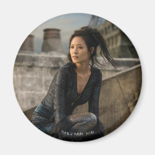 Aimant Nagini sur le toit photo