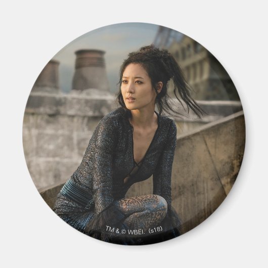 Aimant Nagini sur le toit photo (Devant)