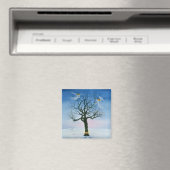 Aimant Naissance 2000 (In Situ (Lave-vaisselle))
