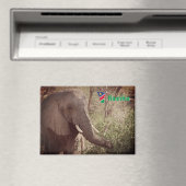 Aimant Namibie (In Situ (Lave-vaisselle))