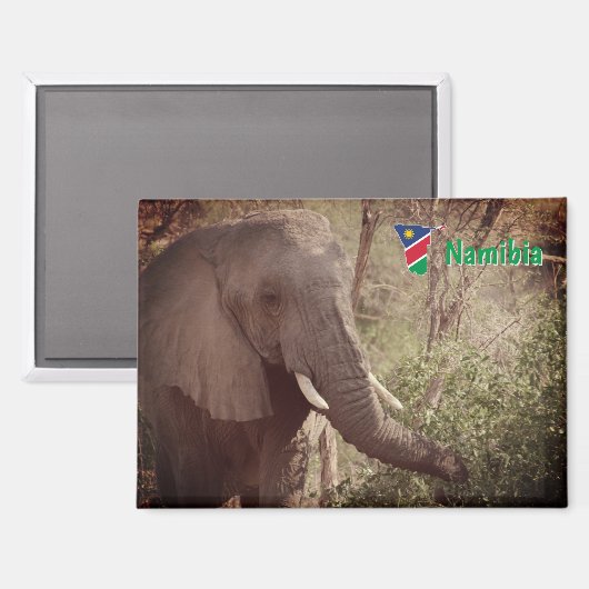 Aimant Namibie (Recto/Verso)