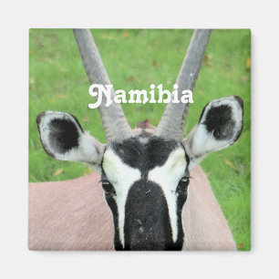 Aimant Namibie Oryx