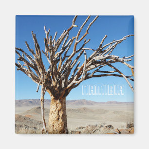 Aimant Namibie Tirool Namib Désert Paysage Kokerboom