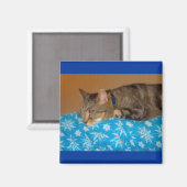 Aimant Nap Heure Pour Indigo (Recto/Verso)