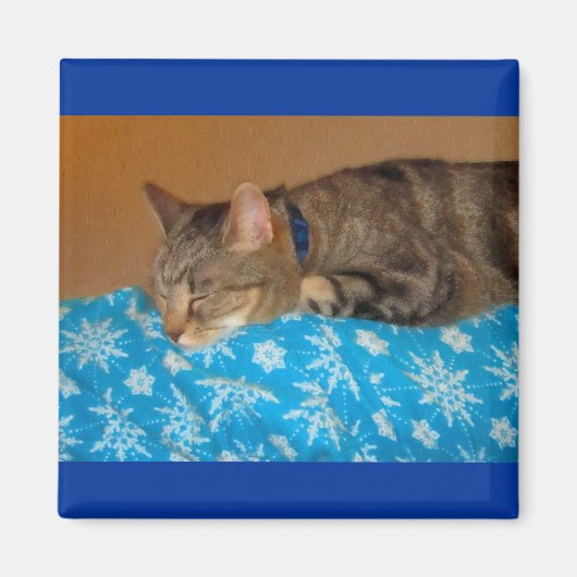 Aimant Nap Heure Pour Indigo (Devant)