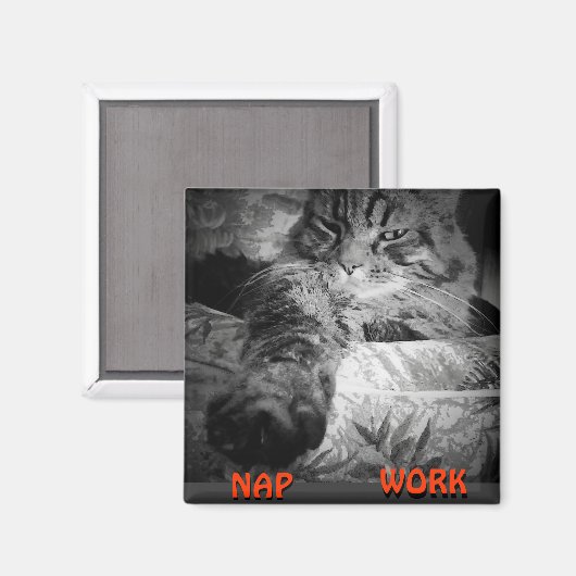 Aimant Nap ou travail ? Kitty Dit "Nap" Meme (Recto/Verso)