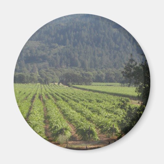 Aimant Napa Valley Vineyards I (Devant)