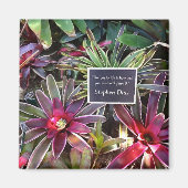 Aimant Naples Florida Botanical Garden Stephen Dias Citat (Devant)