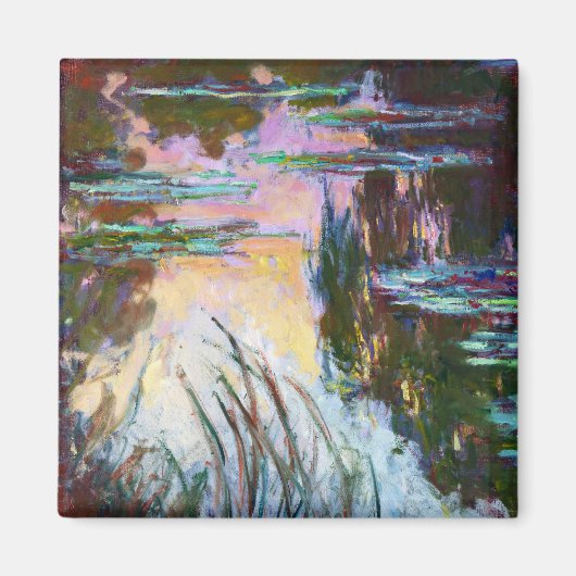 Aimant Nappes D'Eau, Mise En Place De Sun Claude Monet (Devant)