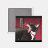 Aimant Naptime Pour Lucy (Recto/Verso)