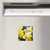 Aimant Narcisse (In Situ (Lave-vaisselle))