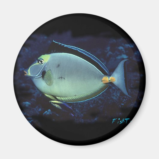 Aimant Naso Tang (Devant)