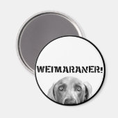 Aimant Nation Weimaraner : Weimaraner Dans Une Boîte ! (Recto/Verso)