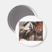 AIMANT NATIVE AMERICAN (Recto/Verso)