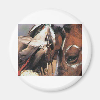 AIMANT NATIVE AMERICAN