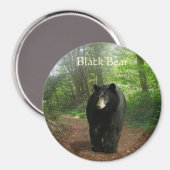 Aimant naturel de la forêt d'OURS NOIR (Recto/Verso)