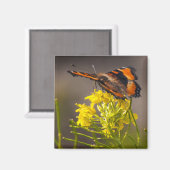 Aimant Natures Beauté Milbert's Tortoiseshell Butterfly (Recto/Verso)