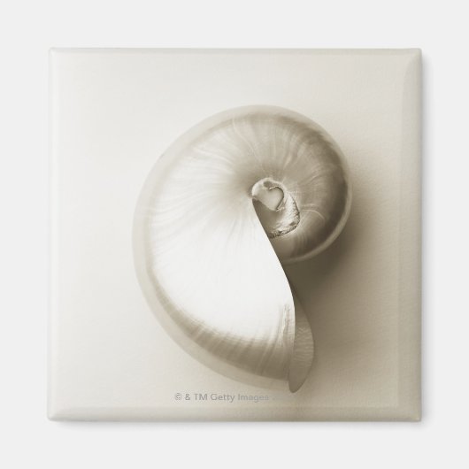 Aimant Nausolée perlée 2 (Devant)