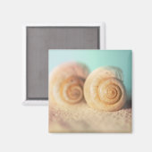 Aimant Nautilus Shells (Recto/Verso)