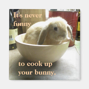 Aimant Ne cuisinez pas le lapin !