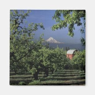 Aimant NE, États-Unis, Oregon, près de Hood River Mt. Hoo