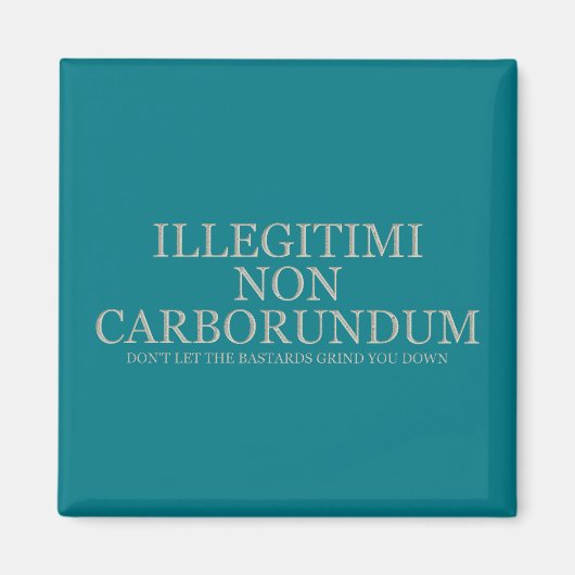 Aimant Ne laissez pas les bâtards vous dénigrer - Lumière (Devant)