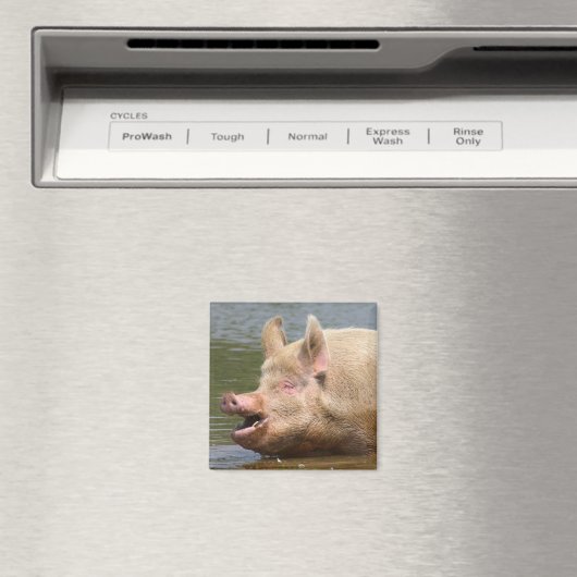 Aimant Ne mangez pas ça ! ! ! (In Situ (Lave-vaisselle))