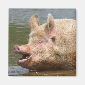 Aimant Ne mangez pas ça ! ! ! (Devant)