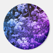 Aimant ne m'oublie pas (Devant)