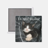 Aimant Ne pas déranger (Recto/Verso)