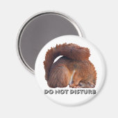 Aimant Ne pas déranger l'aimant (Recto/Verso)