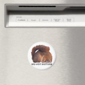 Aimant Ne pas déranger l'aimant (In Situ (Lave-vaisselle))