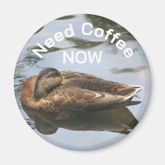Aimant Need Coffee Sleepy Duck Funny (Devant)