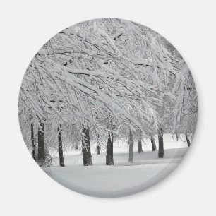 Aimant neige