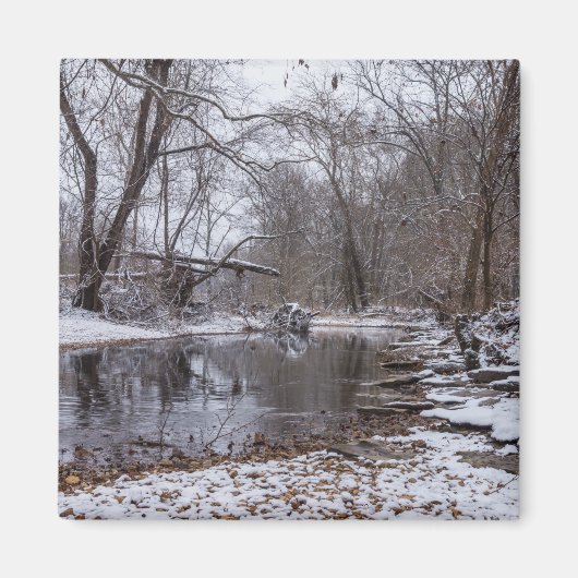 Aimant Neige d'hiver Finley (Devant)