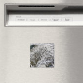 Aimant Neige en Europe (In Situ (Lave-vaisselle))