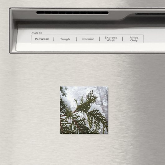 Aimant Neige sur les branches À feuillage persistant (In Situ (Lave-vaisselle))